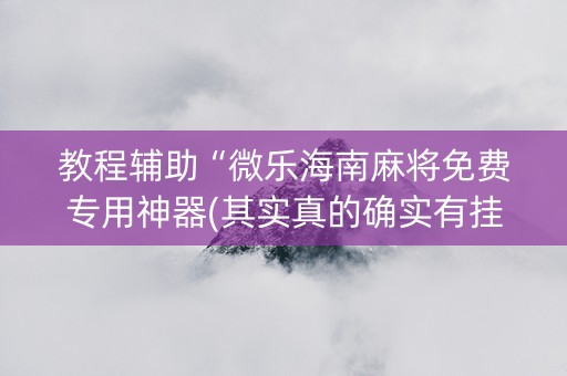 教程辅助“微乐海南麻将免费专用神器(其实真的确实有挂)