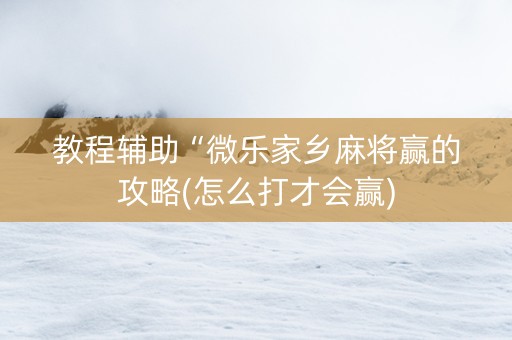 教程辅助“微乐家乡麻将赢的攻略(怎么打才会赢)