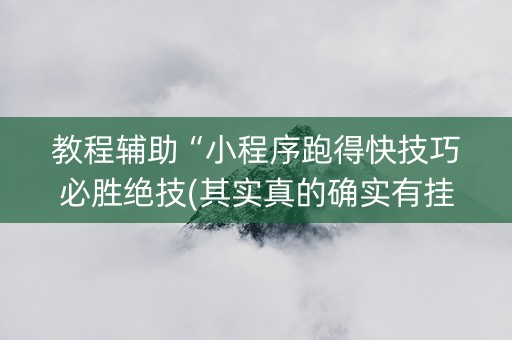 教程辅助“小程序跑得快技巧必胜绝技(其实真的确实有挂)