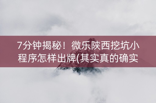 7分钟揭秘！微乐陕西挖坑小程序怎样出牌(其实真的确实有挂)