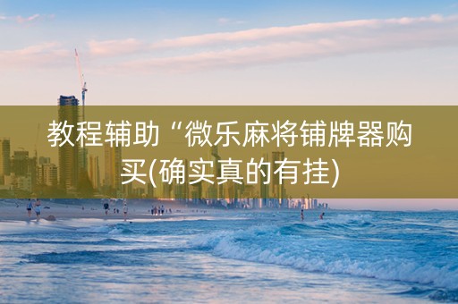 教程辅助“微乐麻将铺牌器购买(确实真的有挂)