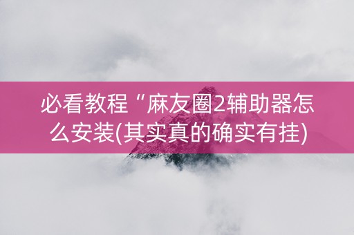 必看教程“麻友圈2辅助器怎么安装(其实真的确实有挂)