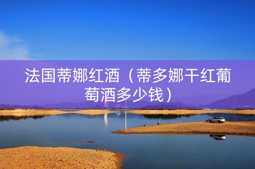 法国蒂娜红酒（蒂多娜干红葡萄酒多少钱）