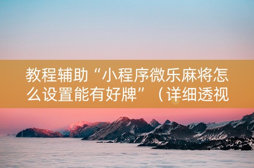 教程辅助“小程序微乐麻将怎么设置能有好牌”（详细透视教程）-哔哩哔哩