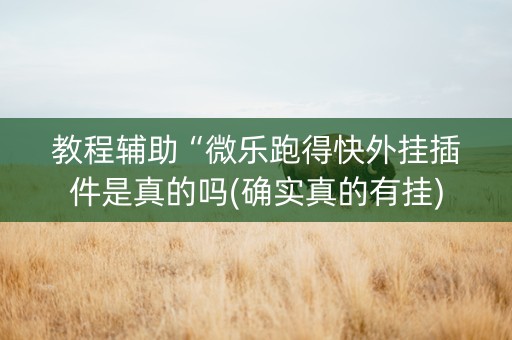 教程辅助“微乐跑得快外挂插件是真的吗(确实真的有挂)