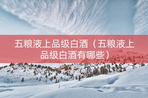 五粮液上品级白酒(五粮液上品级白酒有哪些) 五粮液上品级白酒(五粮液上品级白酒有哪些)