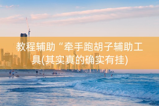 教程辅助“牵手跑胡子辅助工具(其实真的确实有挂) 教程辅助“牵手跑胡子辅助工具(其实真的确实有挂)