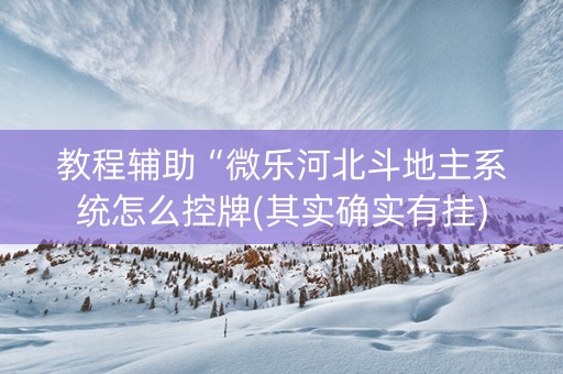 教程辅助“微乐河北斗地主系统怎么控牌(其实确实有挂)