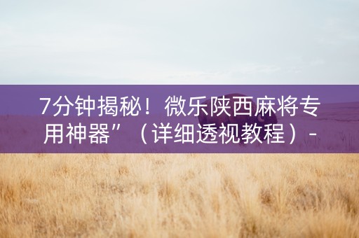 7分钟揭秘！微乐陕西麻将专用神器”（详细透视教程）-哔哩哔哩