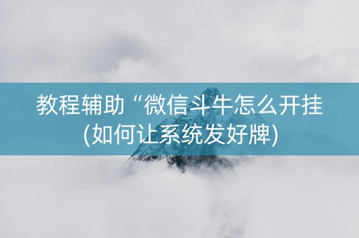 教程辅助“微信斗牛怎么开挂(如何让系统发好牌)