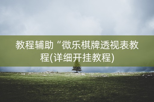 教程辅助“微乐棋牌透视表教程(详细开挂教程)