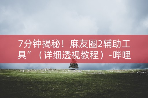 7分钟揭秘！麻友圈2辅助工具”（详细透视教程）-哔哩哔哩