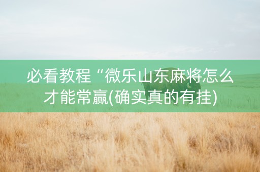 必看教程“微乐山东麻将怎么才能常赢(确实真的有挂)