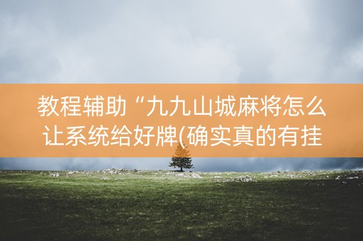 教程辅助“九九山城麻将怎么让系统给好牌(确实真的有挂)