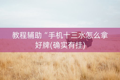 教程辅助“手机十三水怎么拿好牌(确实有挂)