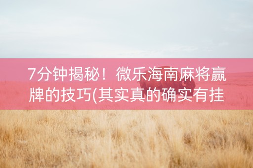 7分钟揭秘！微乐海南麻将赢牌的技巧(其实真的确实有挂)