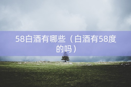 58白酒有哪些（白酒有58度的吗）