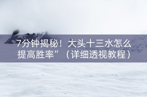 7分钟揭秘！大头十三水怎么提高胜率”（详细透视教程）-哔哩哔哩