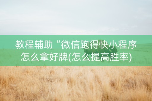 教程辅助“微信跑得快小程序怎么拿好牌(怎么提高胜率)