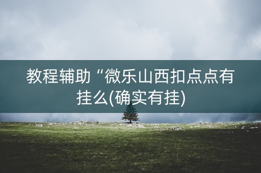 教程辅助“微乐山西扣点点有挂么(确实有挂)