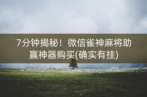 7分钟揭秘！微信雀神麻将助赢神器购买(确实有挂)