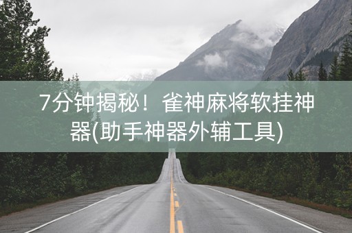 7分钟揭秘！雀神麻将软挂神器(助手神器外辅工具)