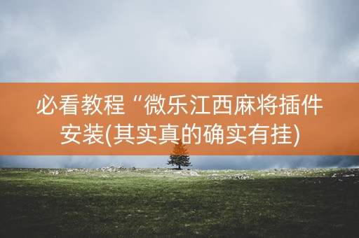 必看教程“微乐江西麻将插件安装(其实真的确实有挂)