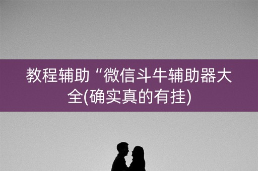 教程辅助“微信斗牛辅助器大全(确实真的有挂)