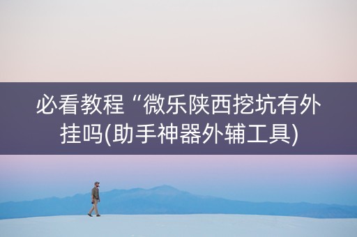 必看教程“微乐陕西挖坑有外挂吗(助手神器外辅工具)