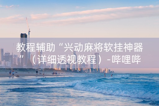 教程辅助“兴动麻将软挂神器”（详细透视教程）-哔哩哔哩