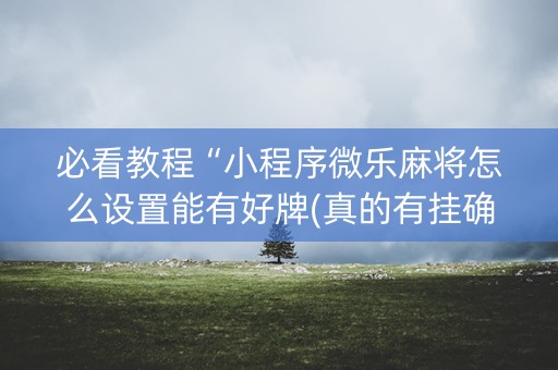 必看教程“小程序微乐麻将怎么设置能有好牌(真的有挂确实有挂)
