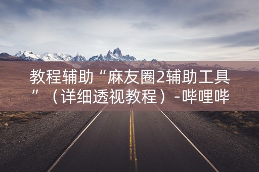 教程辅助“麻友圈2辅助工具”（详细透视教程）-哔哩哔哩