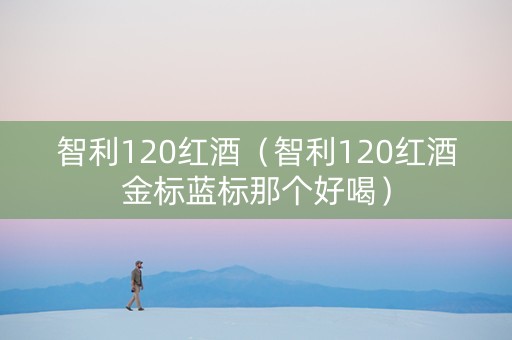 智利120红酒（智利120红酒金标蓝标那个好喝）