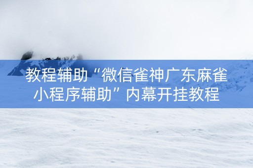 教程辅助“微信雀神广东麻雀小程序辅助”内幕开挂教程