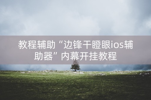 教程辅助“边锋干瞪眼ios辅助器”内幕开挂教程