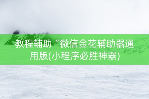 教程辅助“微信金花辅助器通用版(小程序必胜神器)