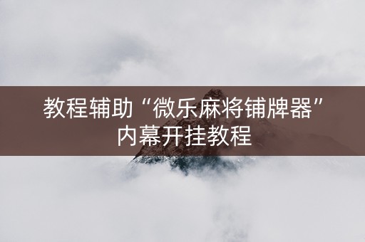 教程辅助“微乐麻将铺牌器”内幕开挂教程