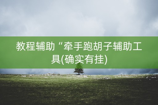 教程辅助“牵手跑胡子辅助工具(确实有挂)
