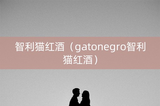 智利猫红酒（gatonegro智利猫红酒）