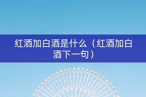 红酒加白酒是什么（红酒加白酒下一句）