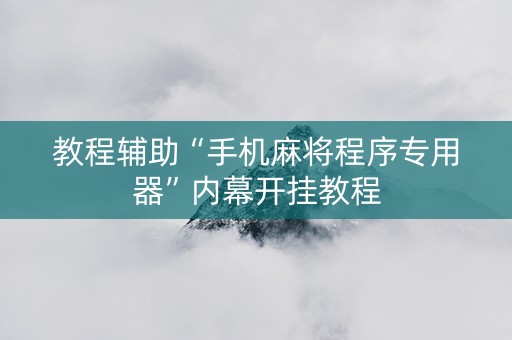 教程辅助“手机麻将程序专用器”内幕开挂教程
