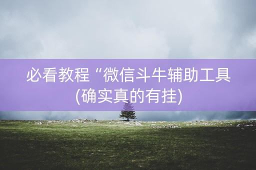 必看教程“微信斗牛辅助工具(确实真的有挂)