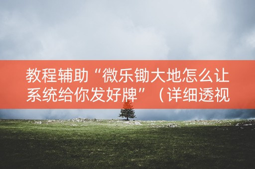 教程辅助“微乐锄大地怎么让系统给你发好牌”(详细透视教程)-哔哩哔哩 教程辅助“微乐锄大地怎么让系统给你发好牌”(详细透视教程)-哔哩哔哩