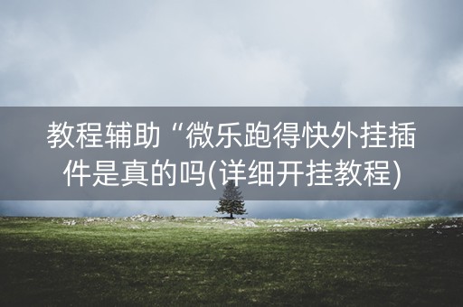 教程辅助“微乐跑得快外挂插件是真的吗(详细开挂教程) 教程辅助“微乐跑得快外挂插件是真的吗(详细开挂教程)