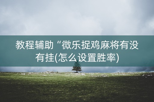 教程辅助“微乐捉鸡麻将有没有挂(怎么设置胜率) 教程辅助“微乐捉鸡麻将有没有挂(怎么设置胜率)