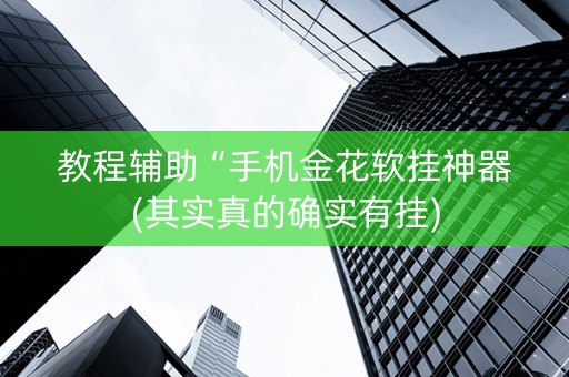 教程辅助“手机金花软挂神器(其实真的确实有挂)