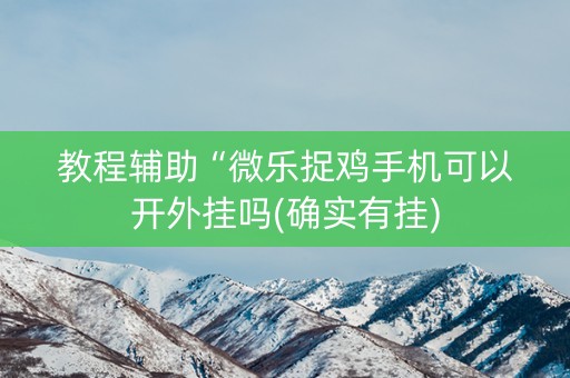 教程辅助“微乐捉鸡手机可以开外挂吗(确实有挂)