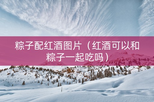 粽子配红酒图片（红酒可以和粽子一起吃吗）