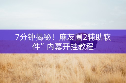 7分钟揭秘！麻友圈2辅助软件”内幕开挂教程