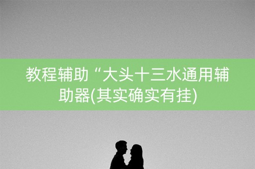 教程辅助“大头十三水通用辅助器(其实确实有挂)